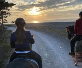 Ridtur i solnedgången på norra Gotland
